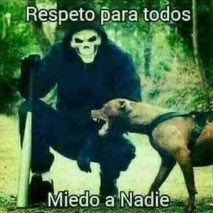 Meet your Posher, Oscar